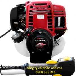 máy cắt cỏ xăng 4 thì oshima t-gx25